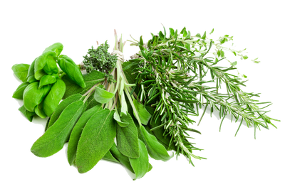 KSM-66® Ashwagandha